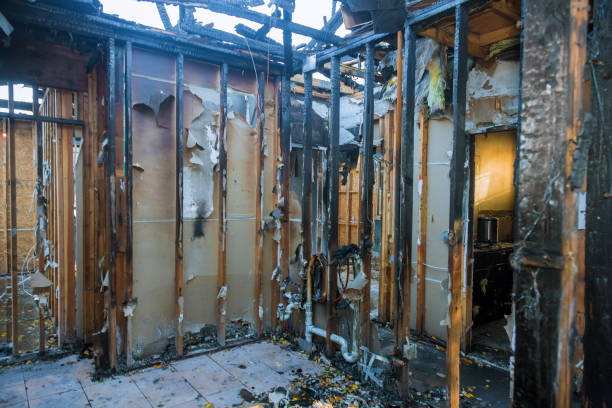 Professional Soot Cleanup technician working in Timberlane, LA